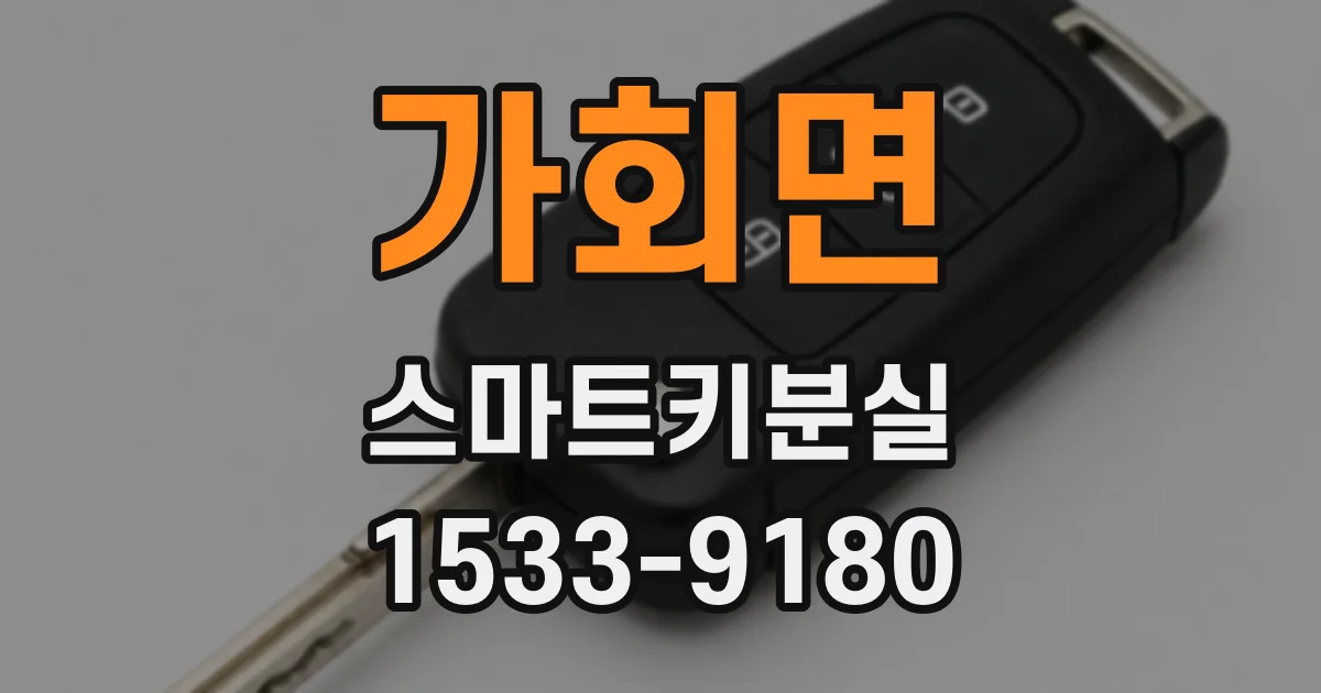 가회면 스마트키분실