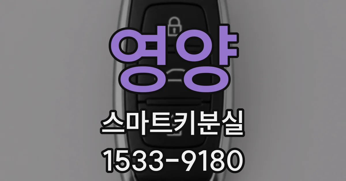 영양 스마트키분실