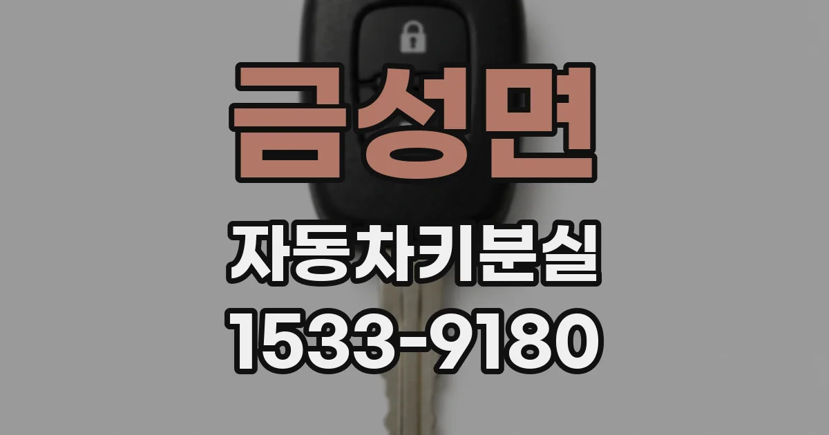 금성면 자동차키분실