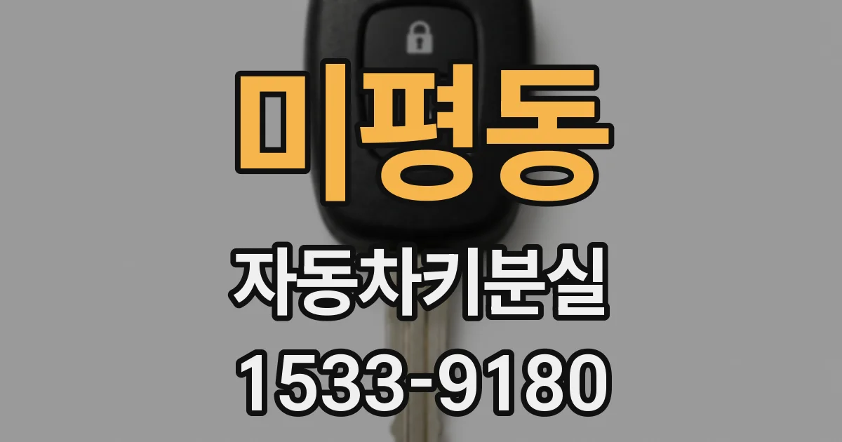 미평동 자동차키분실