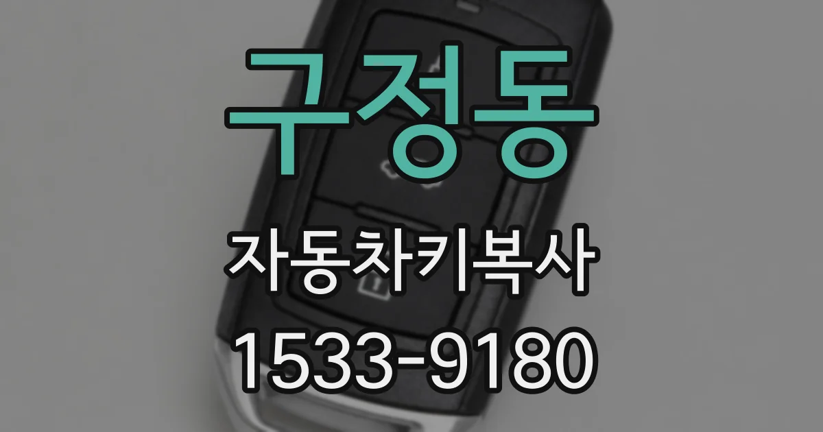 구정동 자동차키복사
