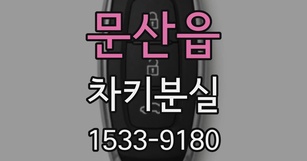 문산읍 차키분실