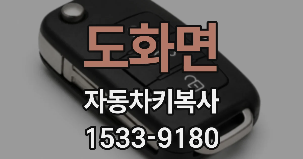 도화면 자동차키복사