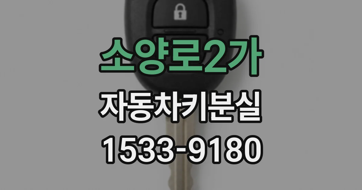 소양로2가 자동차키분실