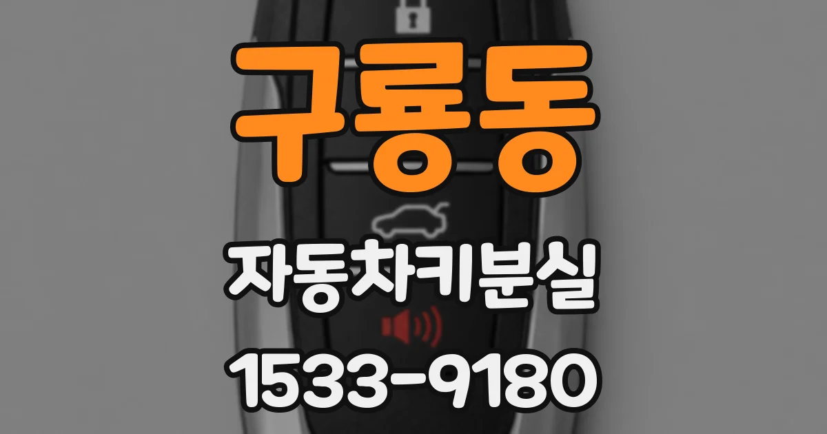 구룡동 자동차키분실