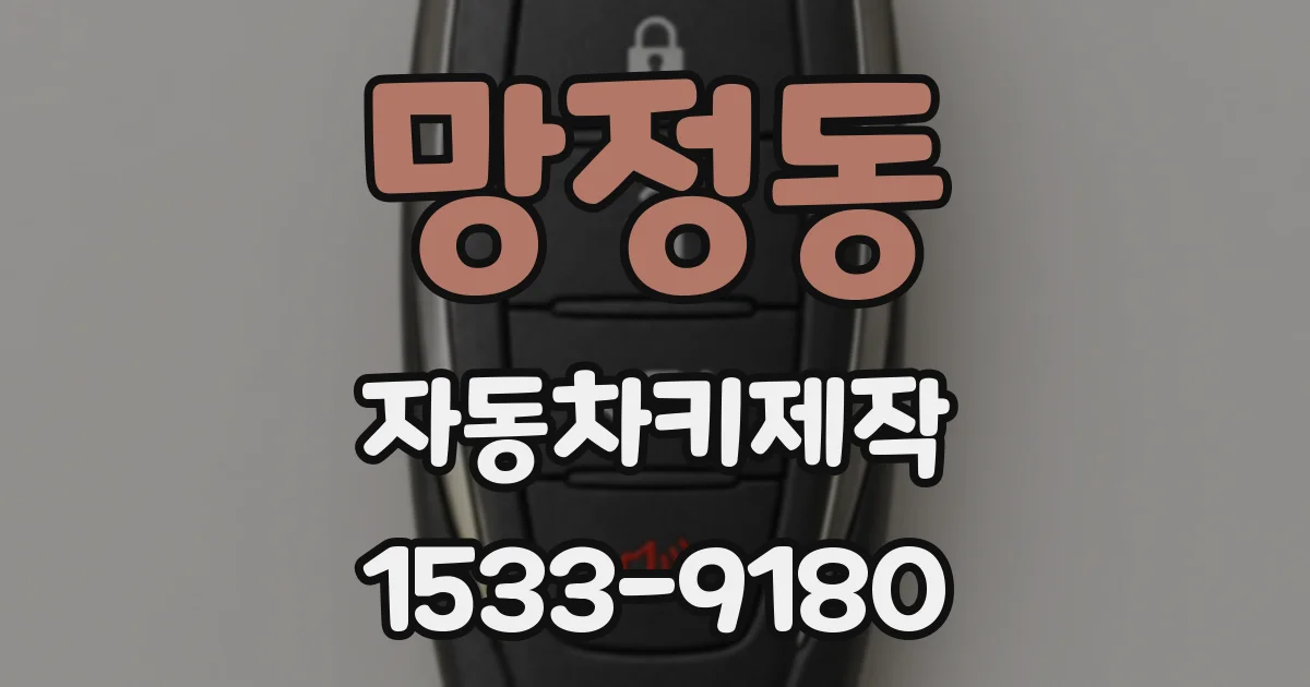 망정동 자동차키제작