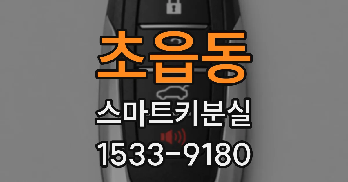 초읍동 스마트키분실