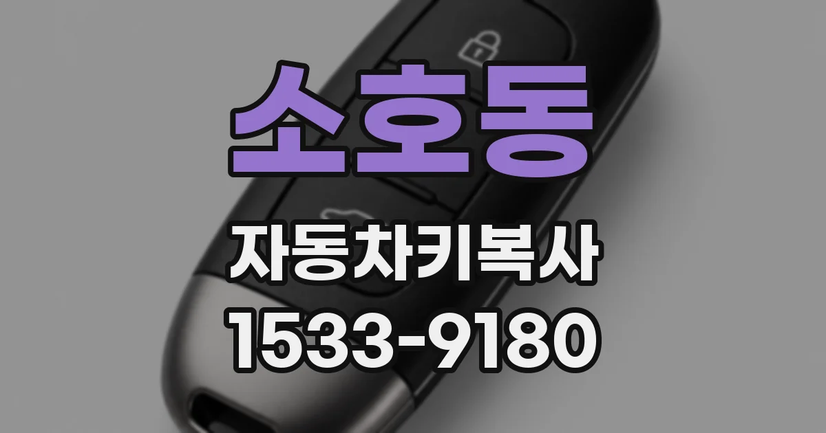 소호동 자동차키복사