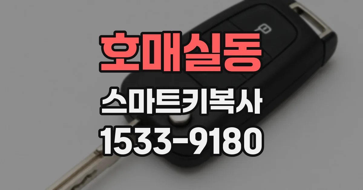 호매실동 스마트키복사
