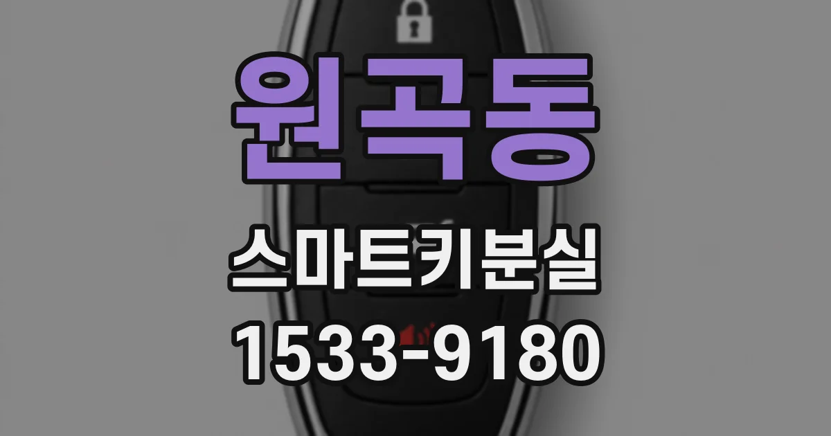 원곡동 스마트키분실