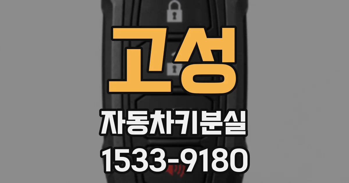 고성 자동차키분실