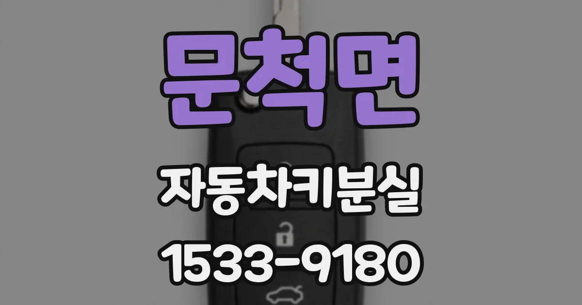 문척면 자동차키분실
