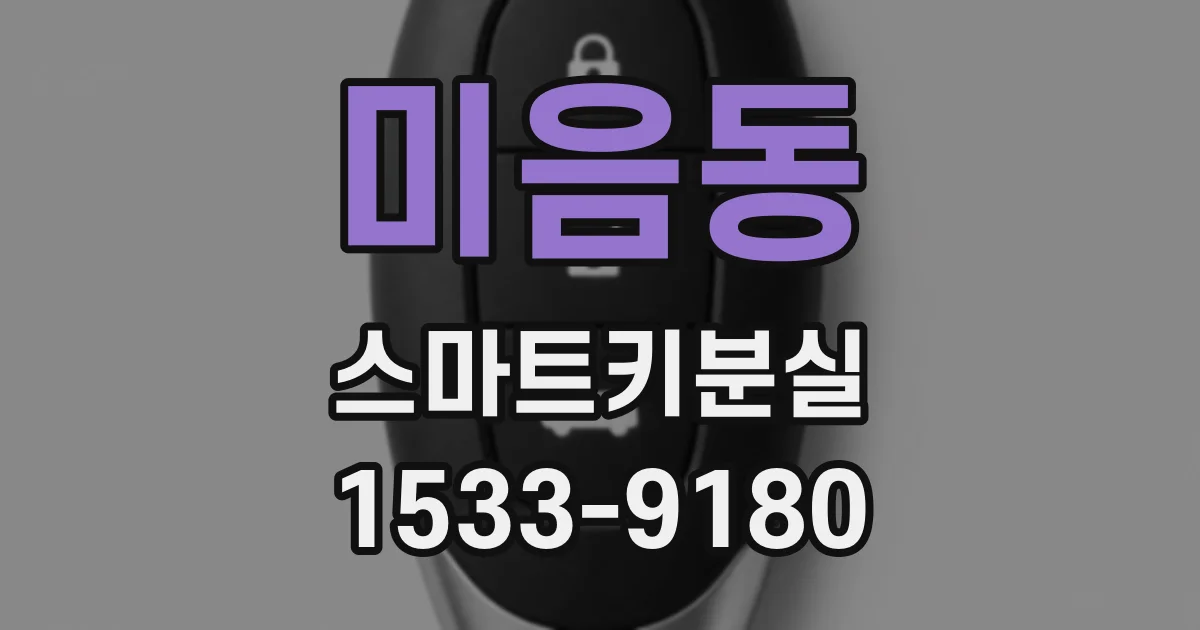 미음동 스마트키분실