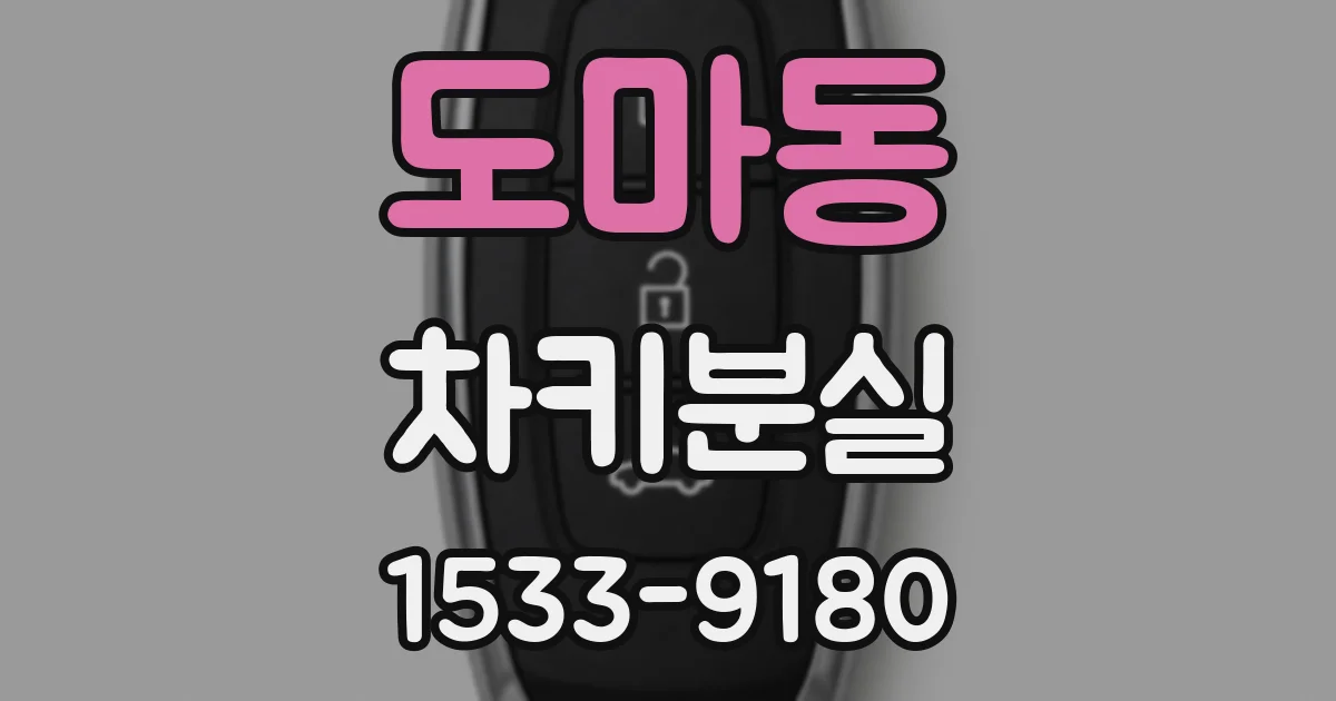 도마동 차키분실