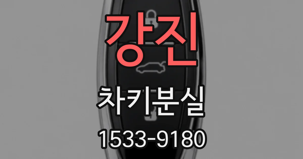 강진 차키분실