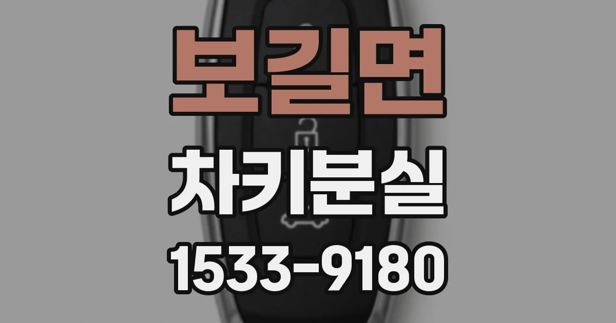 보길면 차키분실