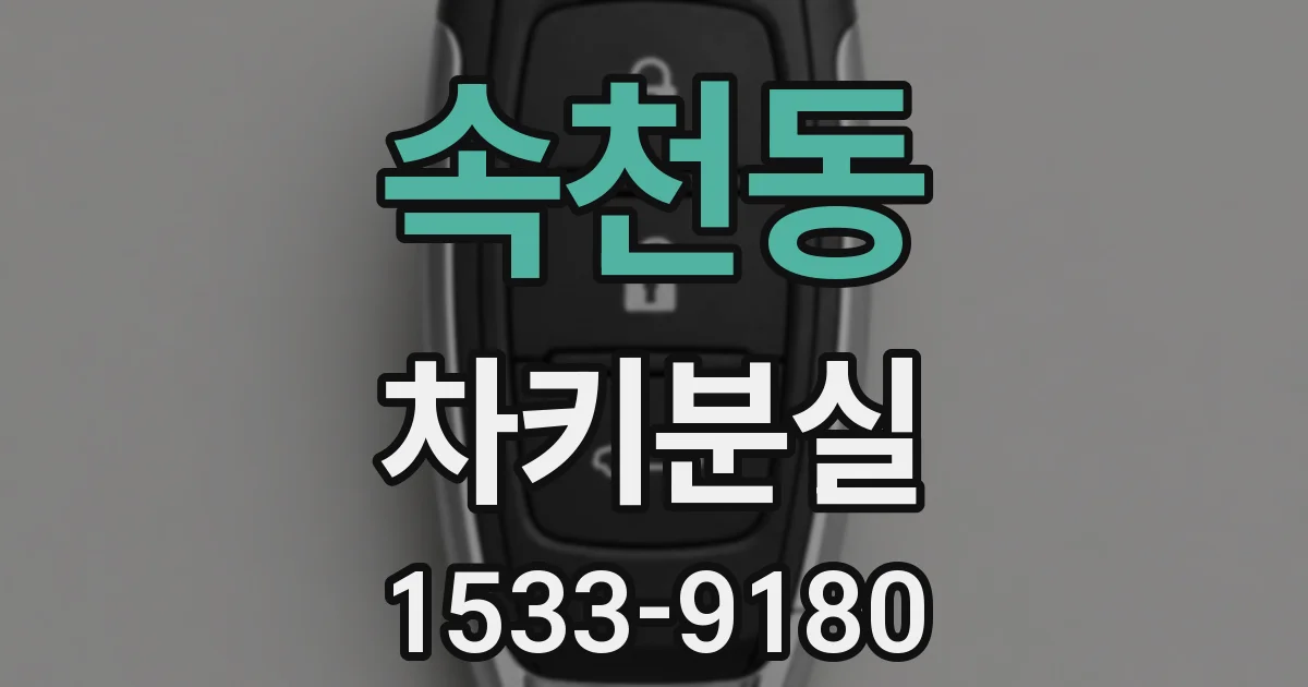 속천동 차키분실