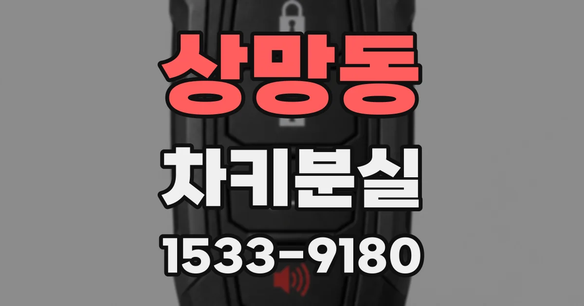 상망동 차키분실