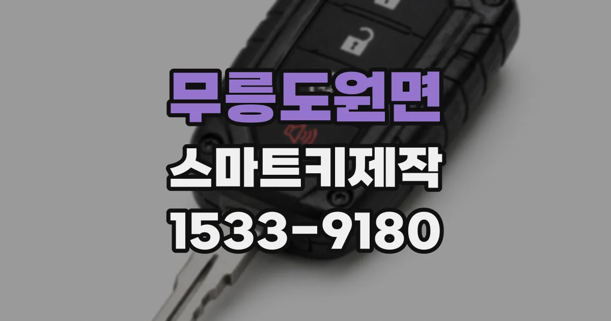 무릉도원면 스마트키제작