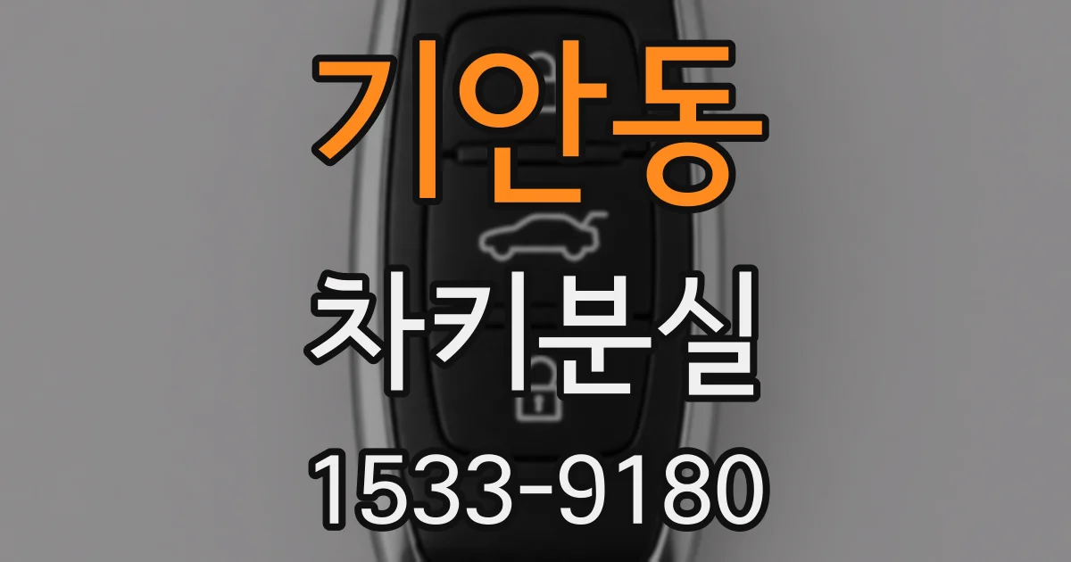기안동 차키분실