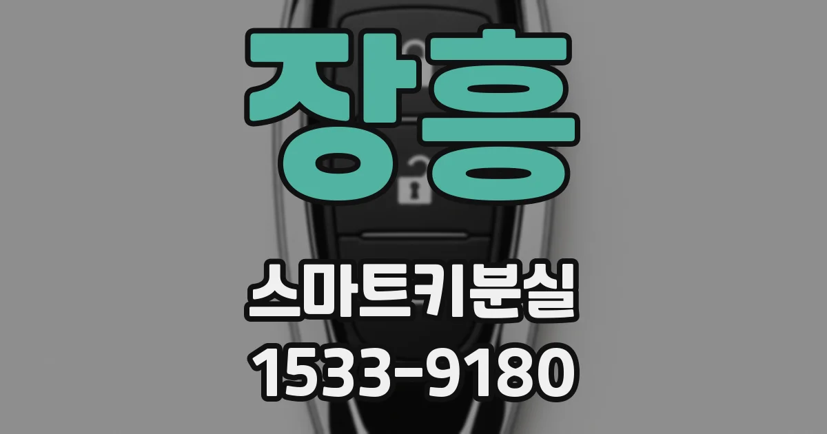 장흥 스마트키분실