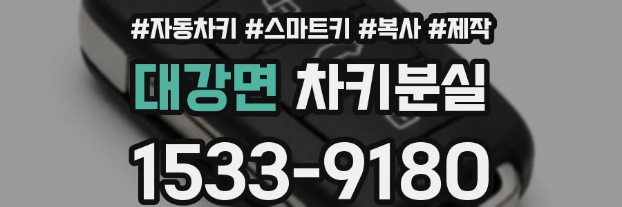 대강면 차키분실