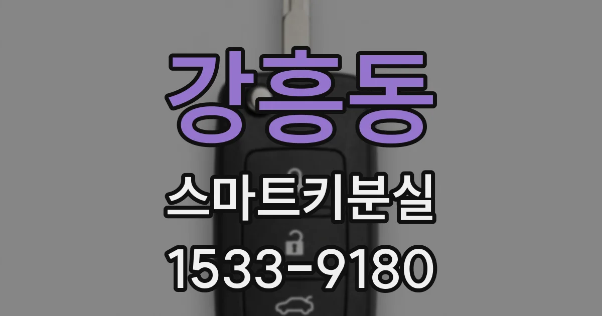 강흥동 스마트키분실