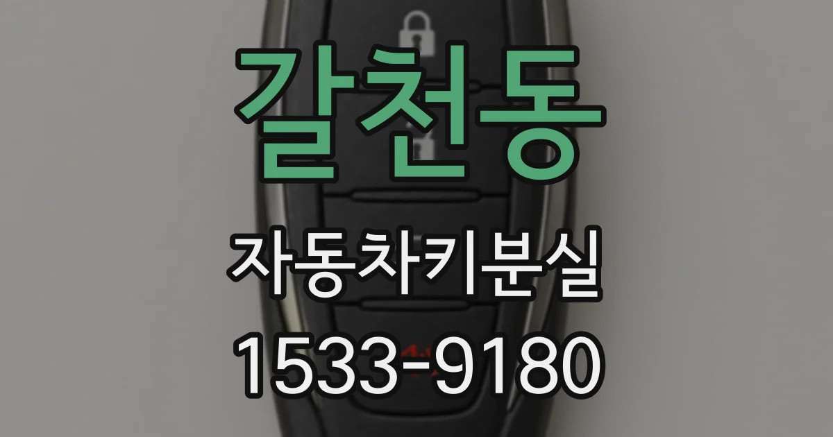 갈천동 자동차키분실