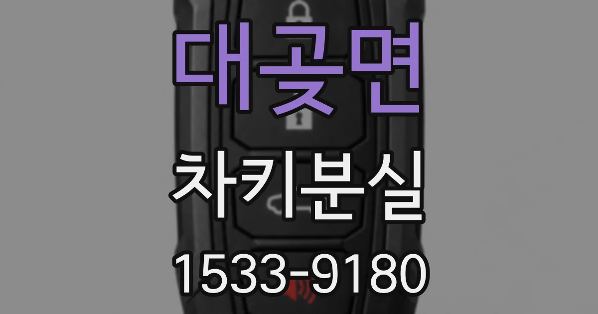 대곶면 차키분실