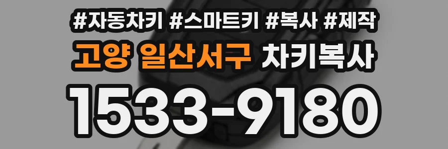 고양 일산서구 차키복사