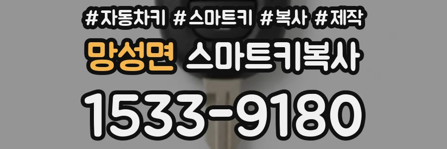 망성면 스마트키복사