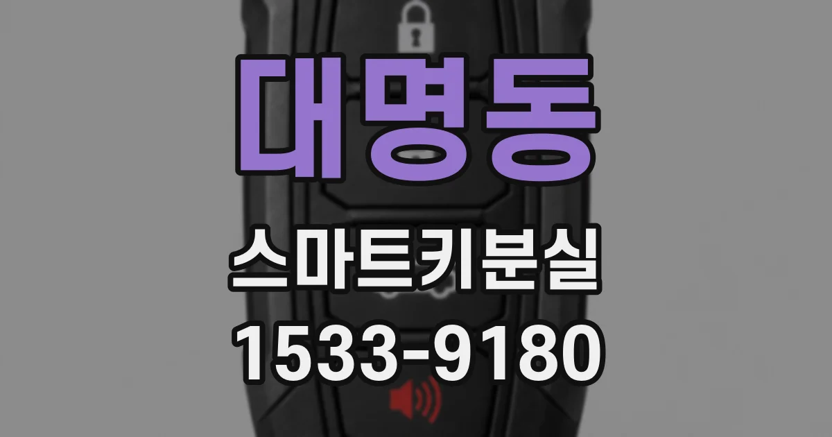 대명동 스마트키분실