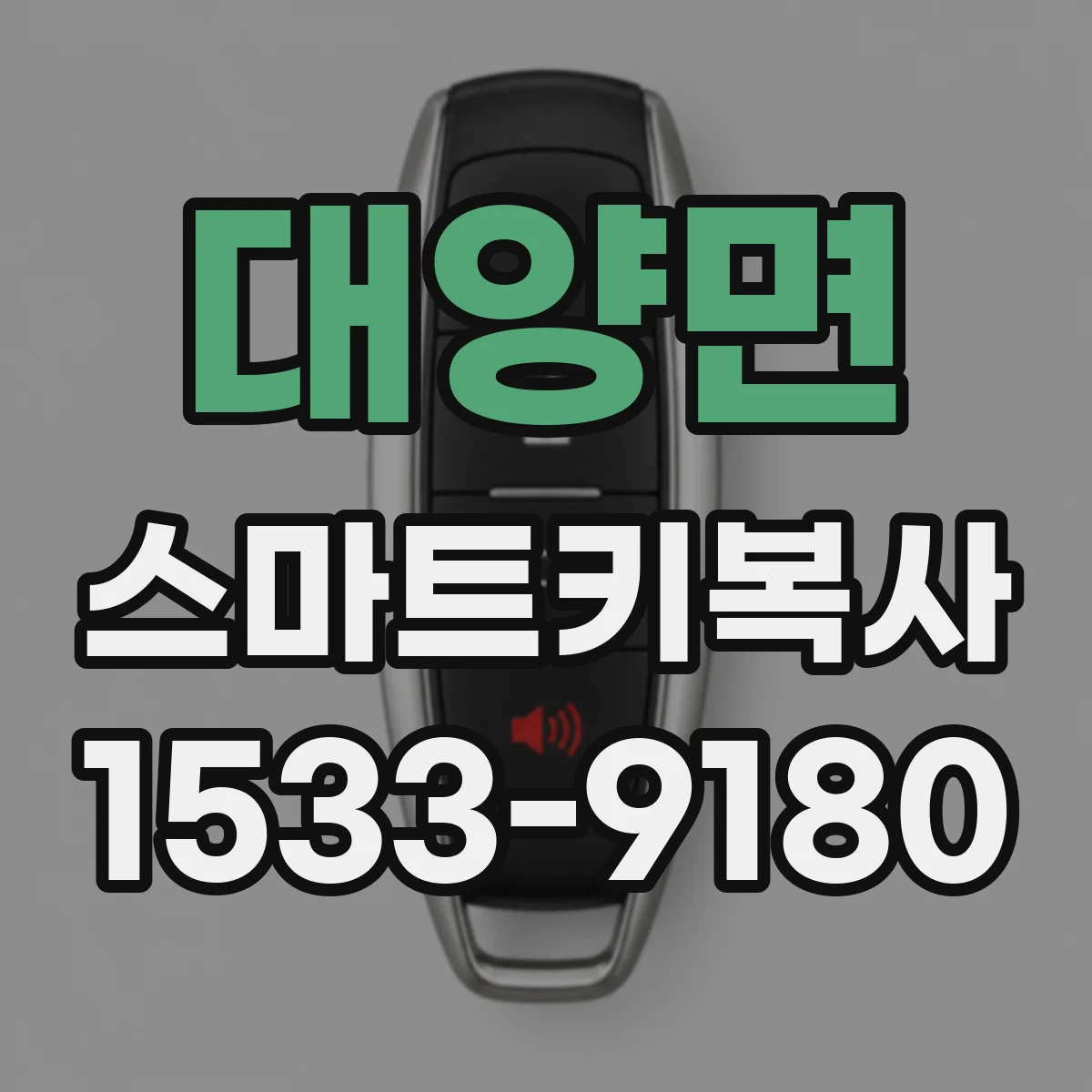 대양면 스마트키복사