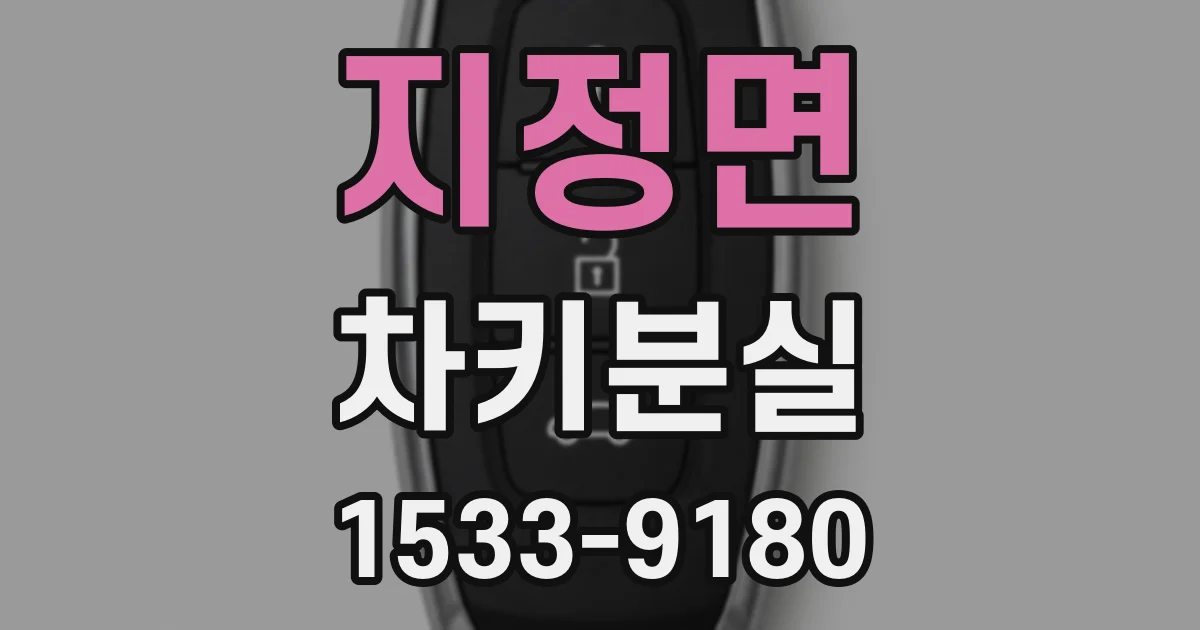지정면 차키분실