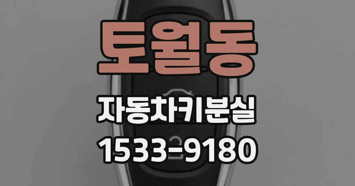 토월동 자동차키분실
