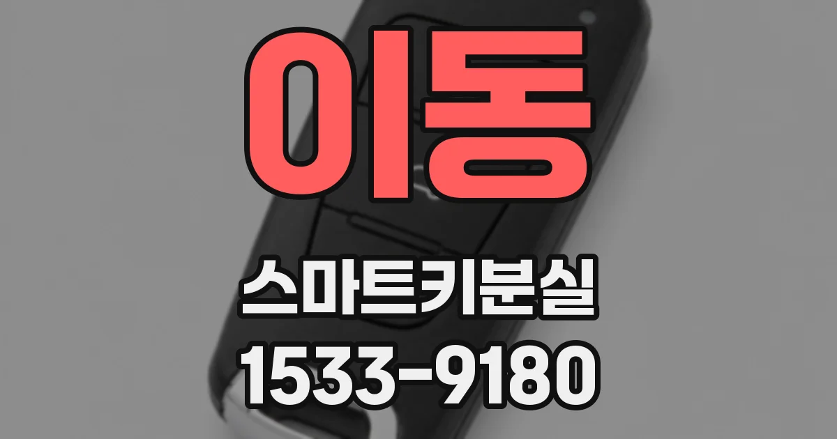 이동 스마트키분실