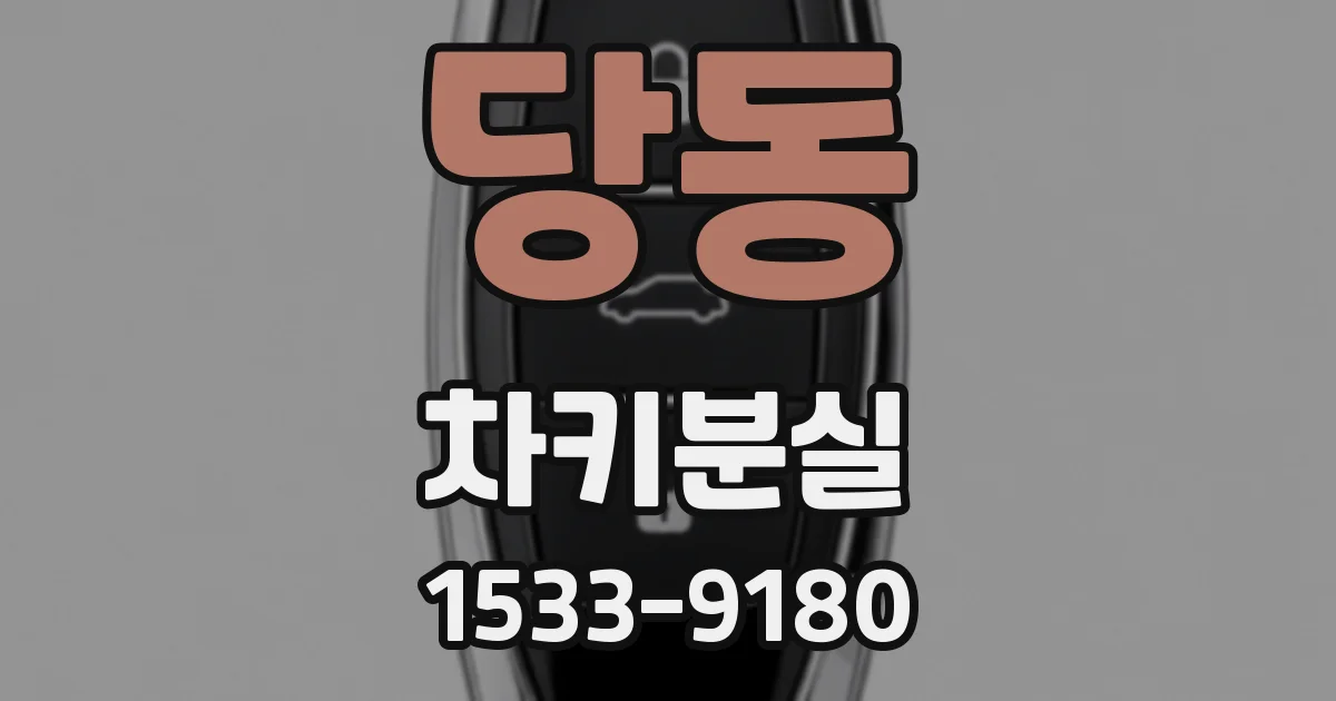 당동 차키분실