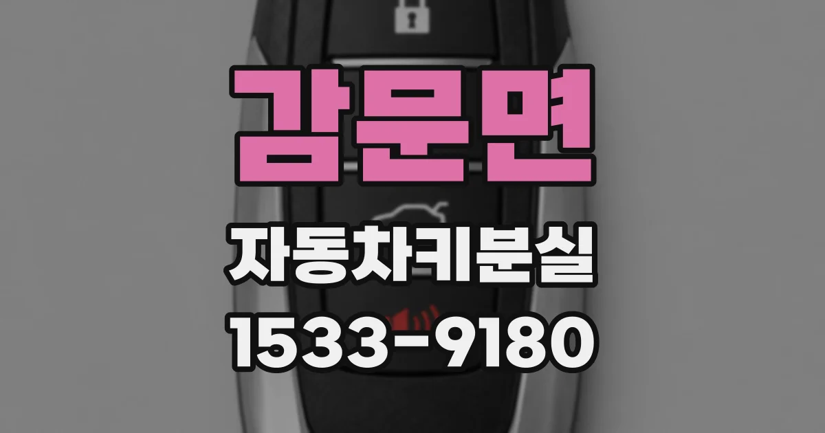 감문면 자동차키분실