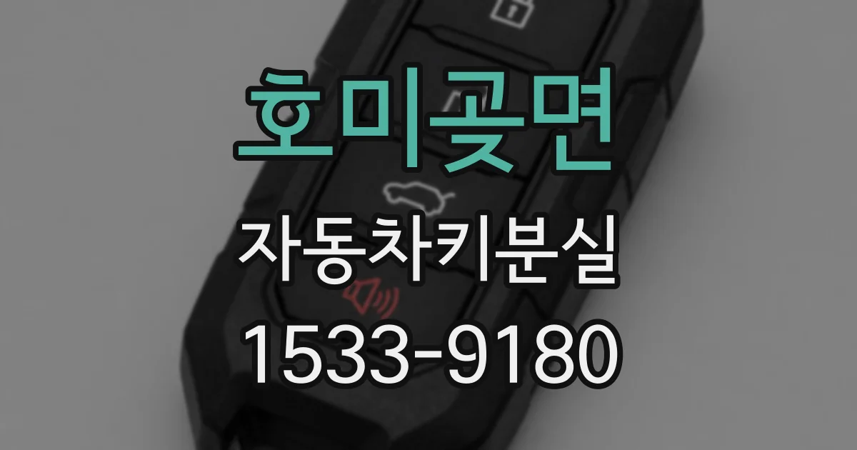 호미곶면 자동차키분실