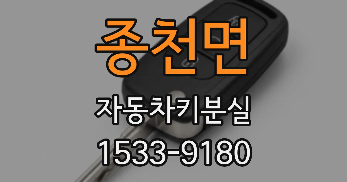 종천면 자동차키분실