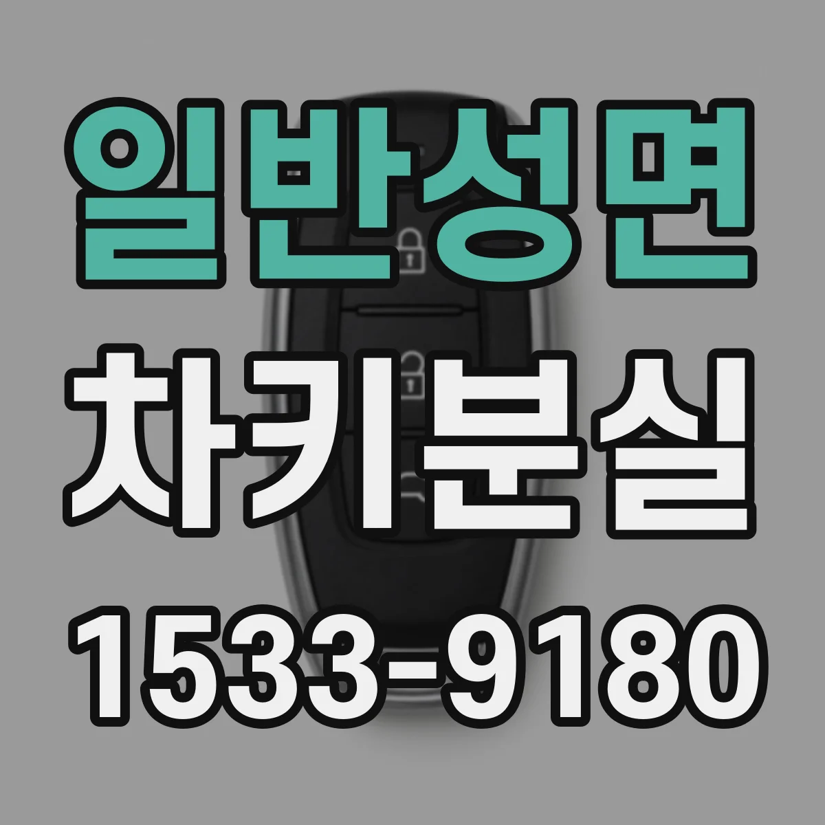 일반성면 차키분실