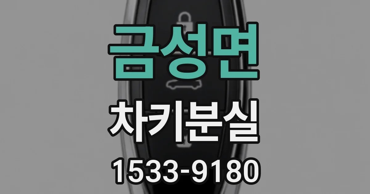 금성면 차키분실