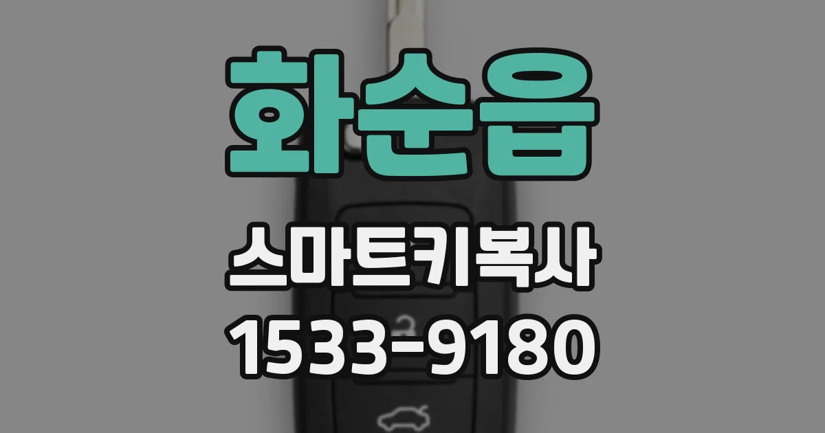 화순읍 스마트키복사