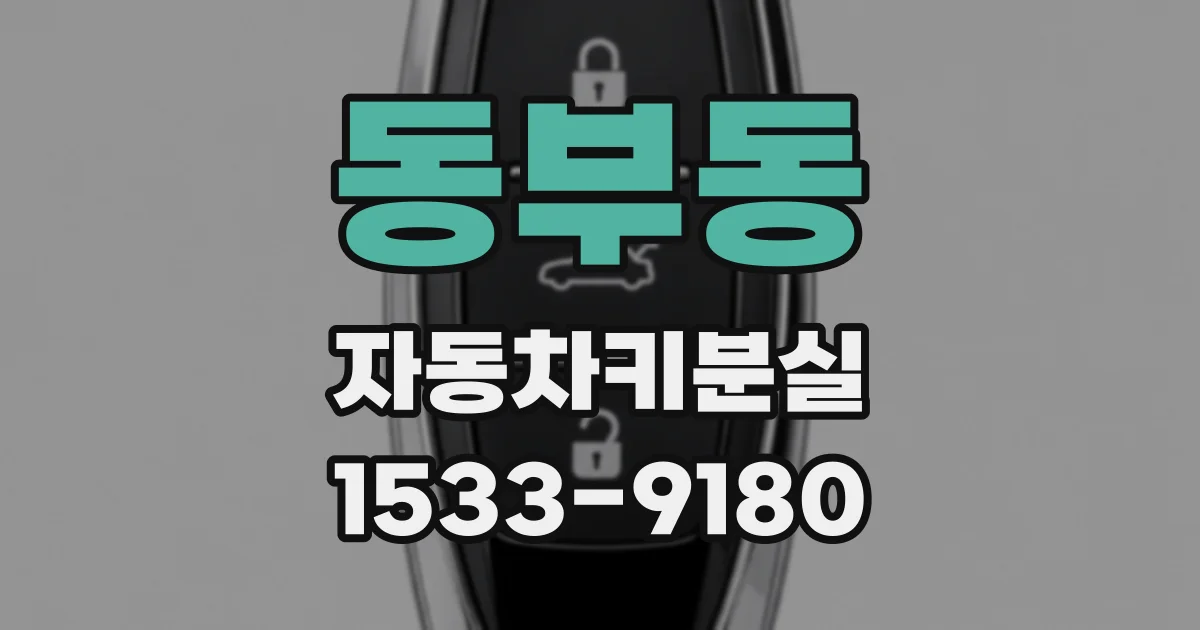 동부동 자동차키분실