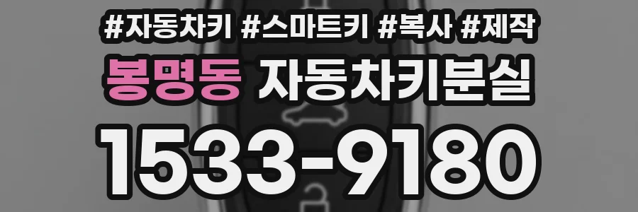 봉명동 자동차키분실
