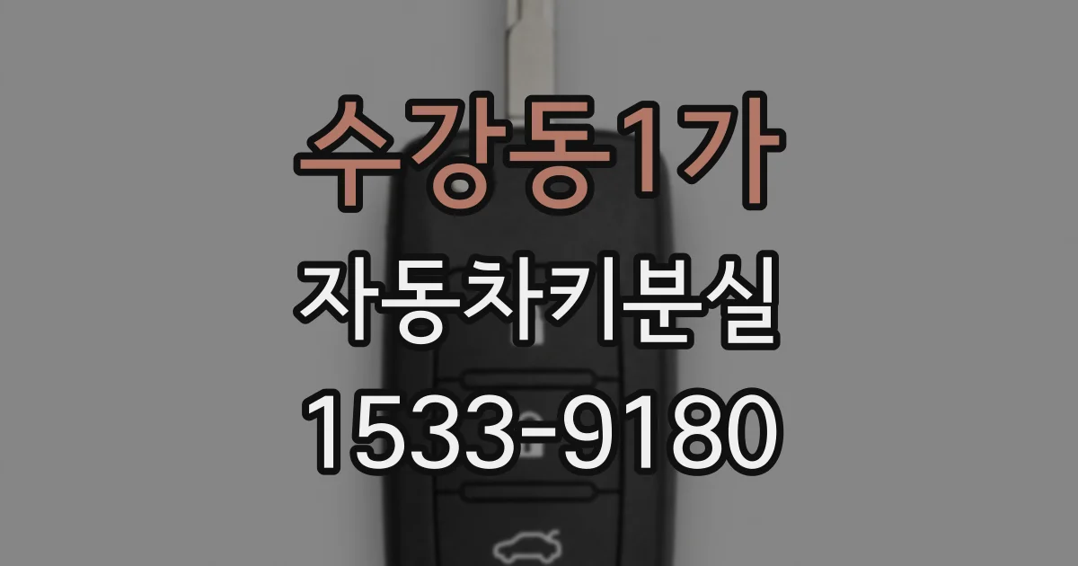 수강동1가 자동차키분실