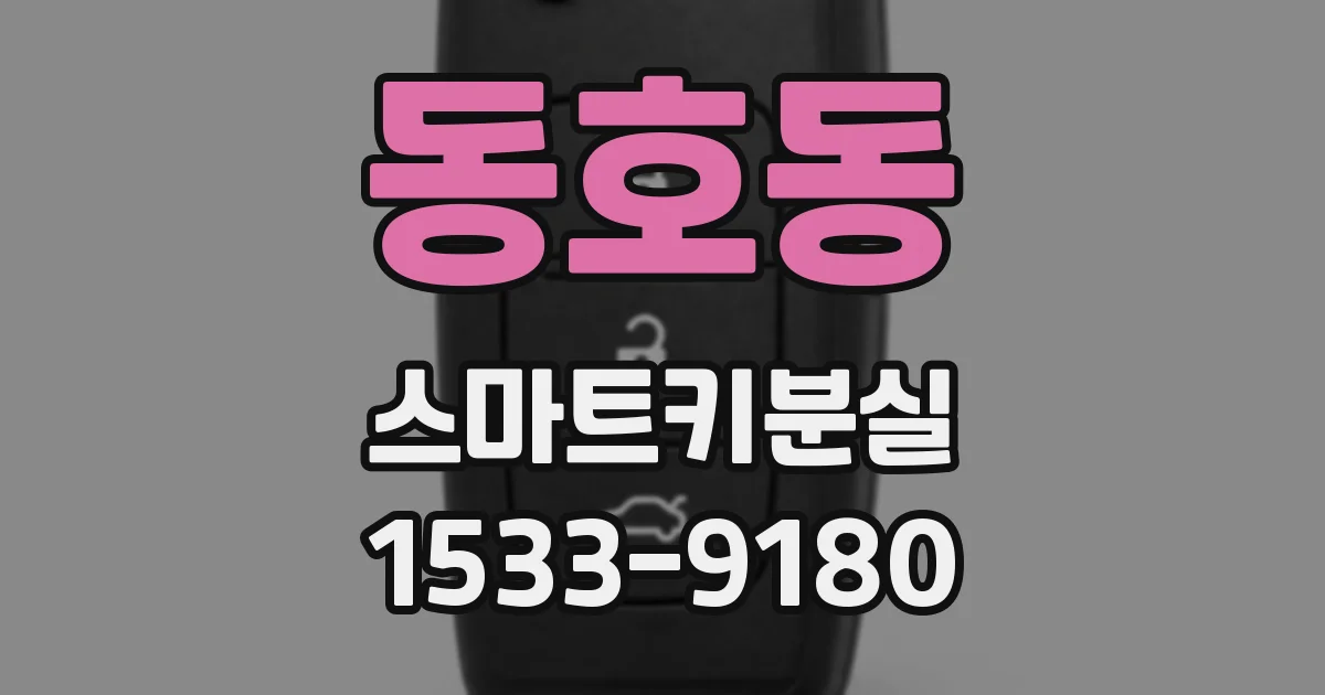 동호동 스마트키분실