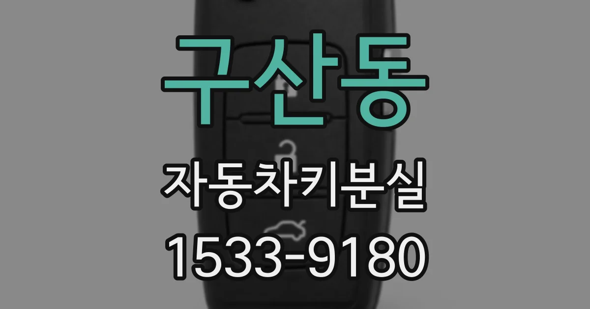 구산동 자동차키분실