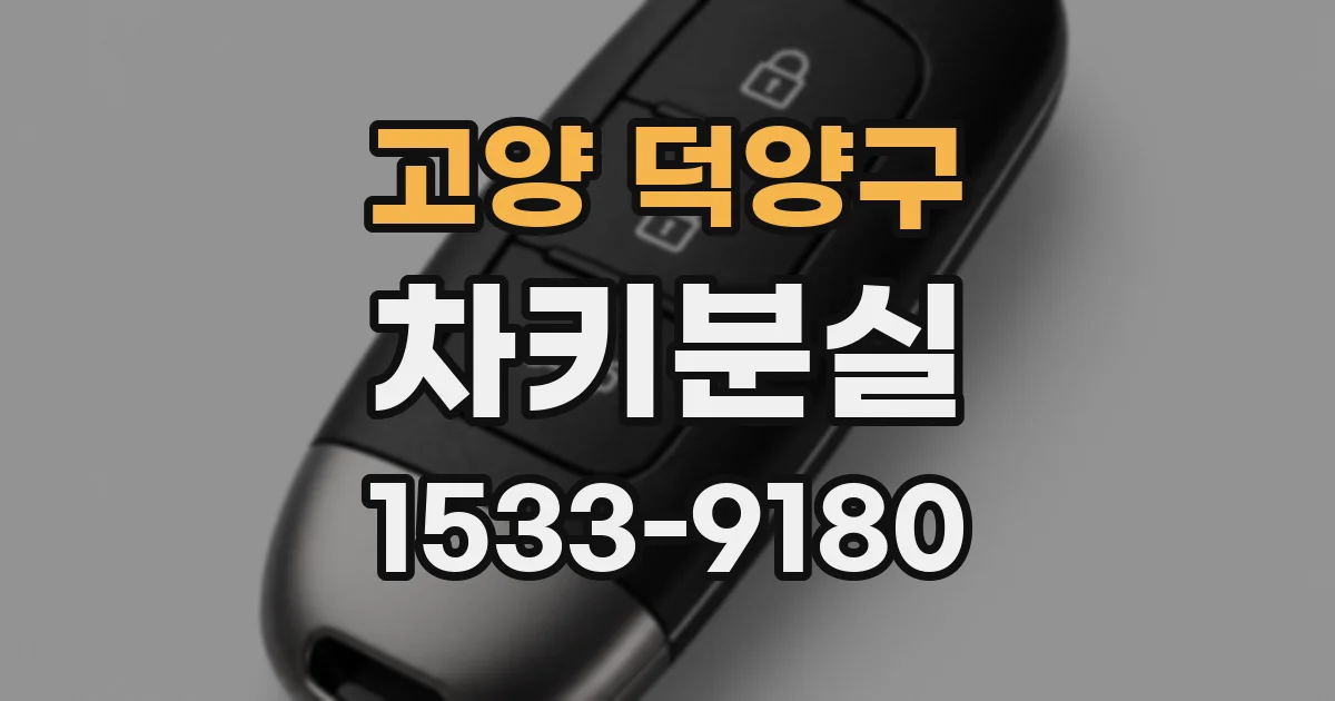 고양 덕양구 차키분실