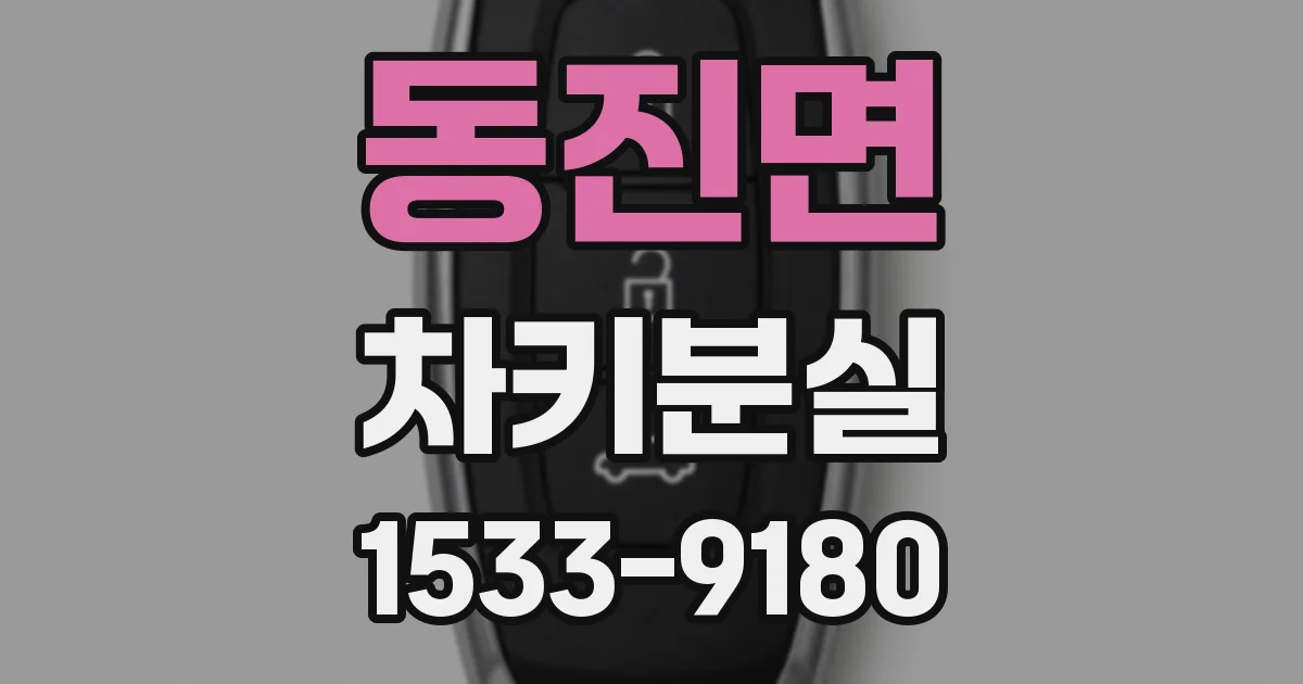 동진면 차키분실